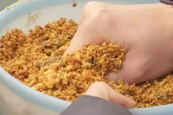 泥鳅打窝吸引翘嘴时间解析,30至60分钟成关键插图2 泥鳅打窝吸引翘嘴时间解析,30至60分钟成关键插图2