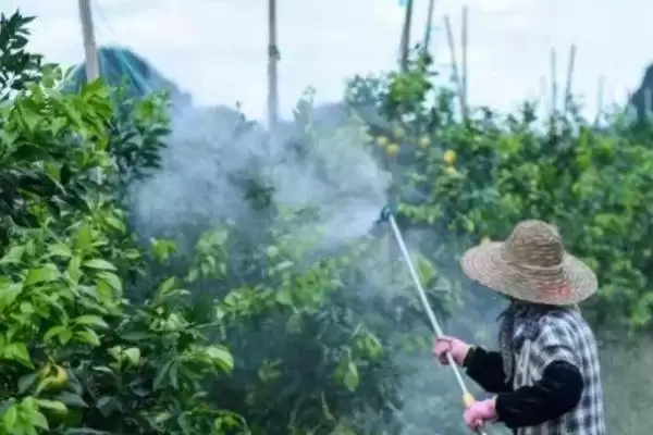 磷酸二氢钾如何兑水引关注,作物及使用方法影响兑水量解读插图2 磷酸二氢钾如何兑水引关注,作物及使用方法影响兑水量解读插图2