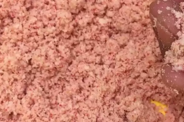 适合钓鳙鱼的饵料，臭味饵料引诱效果更好的原因插图3