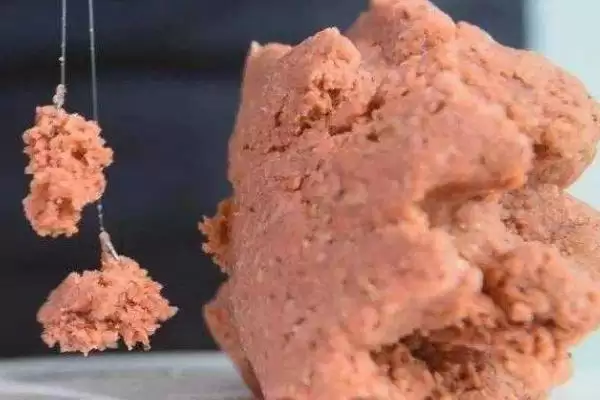 青鱼的钓法，4-6月和8-11月最佳垂钓时间解析插图7