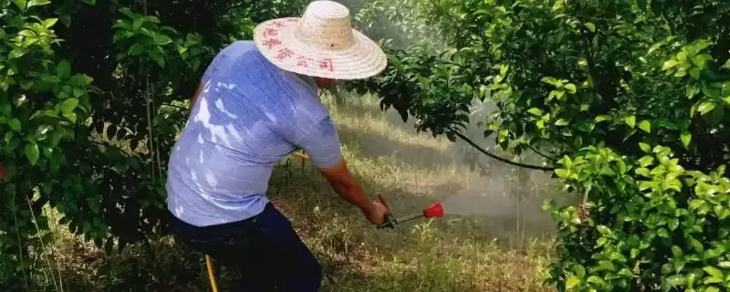 联肼乙螨唑作用揭秘，防治螨虫功能要点全面解读-会东网