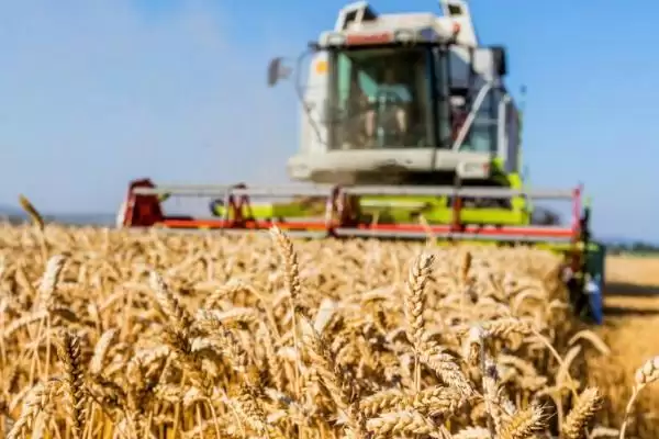 美国农业生产特点揭秘，地区与生产专门化全解析插图2