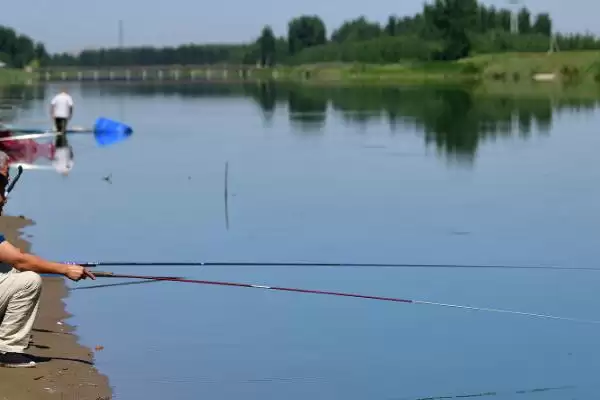 开春后钓鱼时间揭秘,温度、气压等指标影响分析插图2 开春后钓鱼时间揭秘,温度、气压等指标影响分析插图2