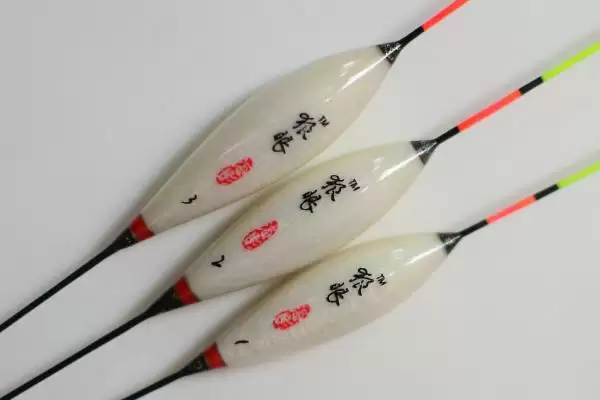 晚上能不能垂钓罗非鱼？准备钓具可进行垂钓插图3