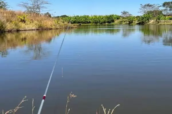 如何将七星漂安装在鱼线上,穿漂豆、铅皮座安装要点插图3 如何将七星漂安装在鱼线上,穿漂豆、铅皮座安装要点插图3