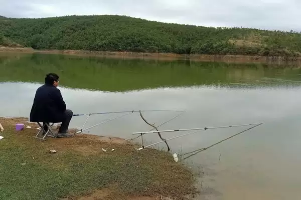 水库钓鱼的打窝方法，根据鱼品种选择酒米或谷物发酵饵料的要点插图1
