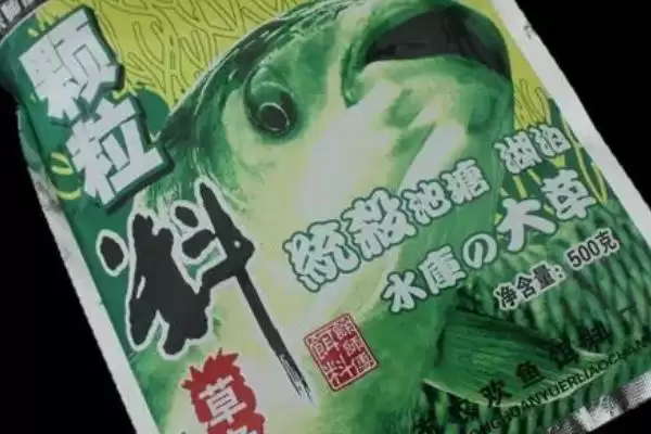 野钓大罗非鱼适合用什么饵料(野钓大罗非鱼用啥饵料)？插图2