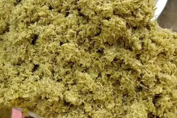 养牛如何节省饲料(养牛节省饲料的方法有哪些)？插图2
