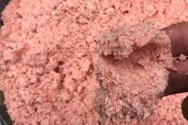 秋天钓草鱼的技巧，用玉米等饵料打窝垂钓要点插图6