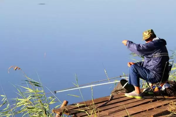 夏钓用蚯蚓还是红虫及二者使用要点？插图3