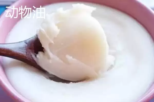 什么是植物油，以植物种仁为原料加工得到油脂的详细介绍插图3