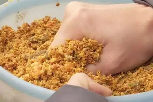 台钓鲢鳙鱼有什么方法？选溶氧量高水域作钓点插图5