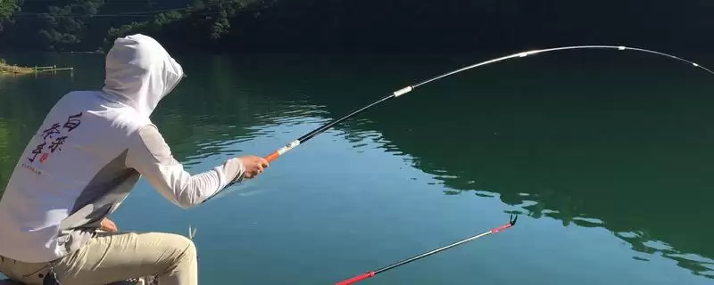 台钓鲢鳙鱼有什么方法？选溶氧量高水域作钓点-会东网