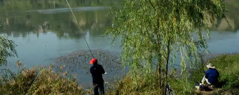 秋季钓鱼的适宜时间，初秋早或下午出钓要点-会东网