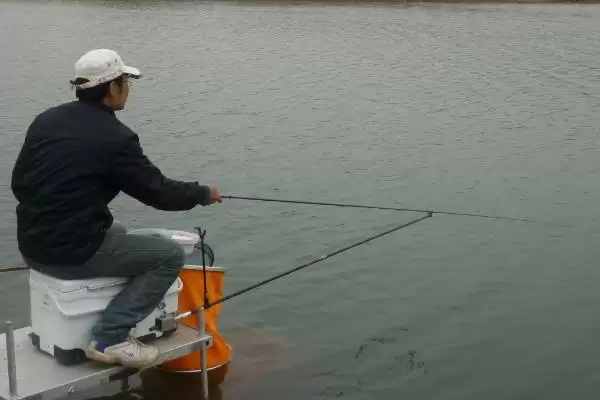 台钓鲢鳙鱼有什么方法？选溶氧量高水域作钓点插图1