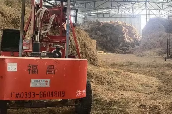 养牛如何节省饲料(养牛节省饲料的方法有哪些)？插图1