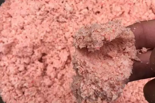 秋天钓草鱼的技巧，用玉米等饵料打窝垂钓要点插图7