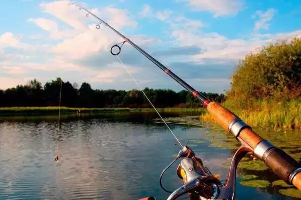 三月河里钓鱼技巧，钓鱼黄金时节的技巧分析插图3