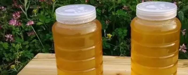 为什么野桂花蜂蜜不结晶？高温环境下不易结晶-会东网