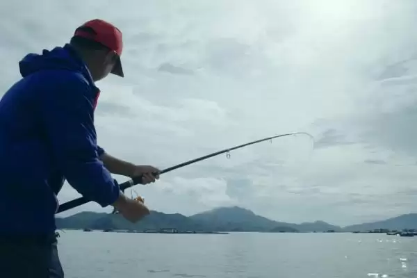 青鱼的垂钓深度,4-5米以上水域作钓的原因探讨插图1 青鱼的垂钓深度,4-5米以上水域作钓的原因探讨插图1