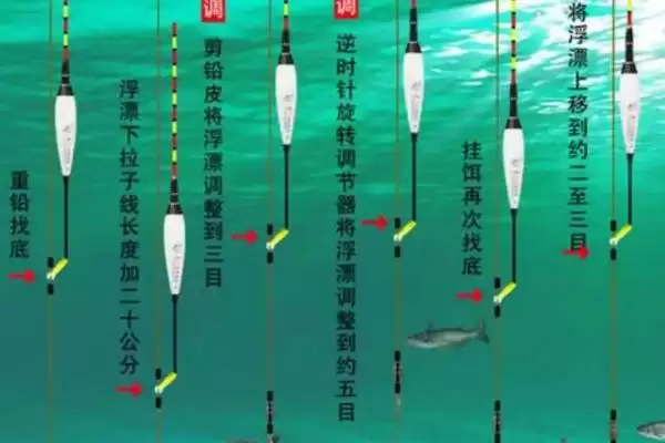 台钓鲤鱼如何有效调漂？先重铅找底再修剪铅皮插图1