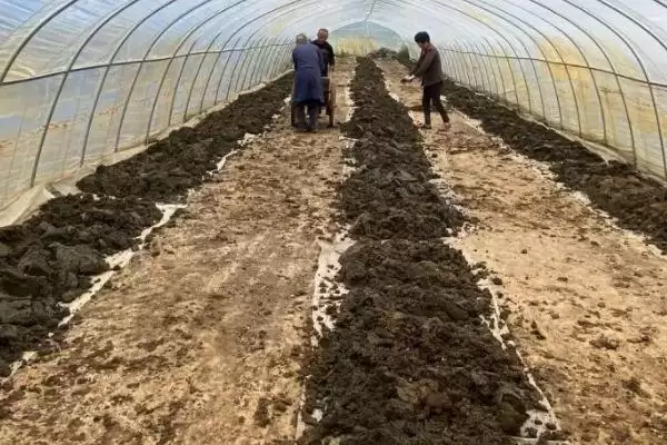 蚯蚓的养殖方法，根据情况选择合适容器养殖要点插图1