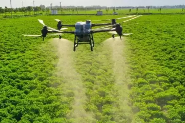 三唑酮不能和哪些药混用，不能和波尔多夜、石硫合剂、多抗霉素等混用的原因插图3
