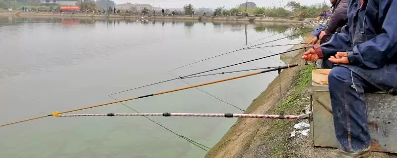 三月河里钓鱼技巧，钓鱼黄金时节的技巧分析-会东网