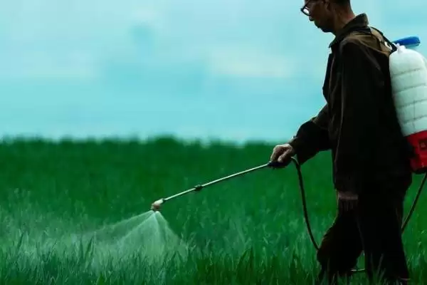 综合治理蝗虫的技术，可农业防治、生物防治和化学防治？插图3