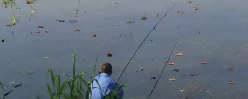 野钓的意思(野钓指的是什么意思)？-会东网