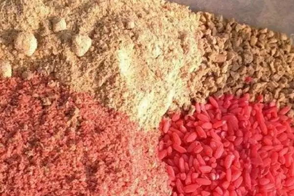 秋季钓鲫鱼用什么饵料，初、中、深秋不同饵料选择要点插图1