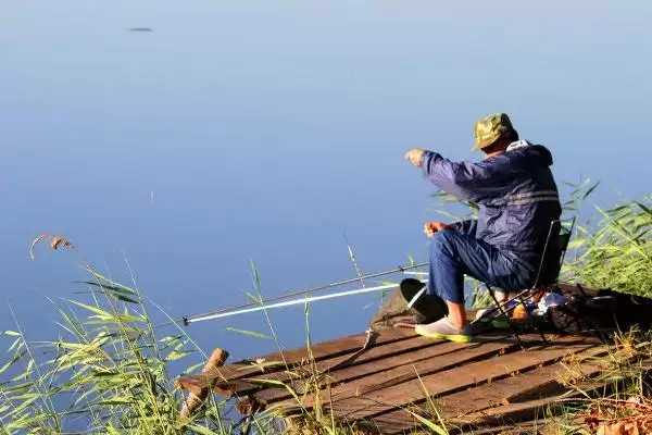 秋季钓鱼的适宜时间，初秋早或下午出钓要点插图2