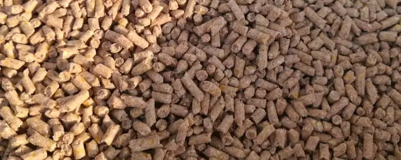如何正确选购配合饲料，5点选购要点全解析-会东网