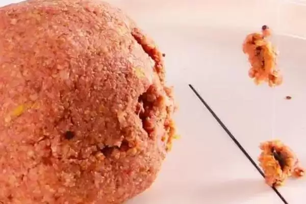 深秋钓鱼适宜时间，中午温度较高时适合作钓的原因插图4
