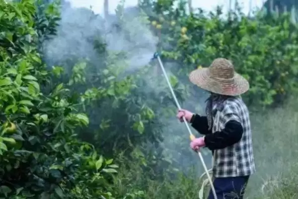 三唑酮的适用作物，基本所有农作物和果树均适用的适用范围插图3