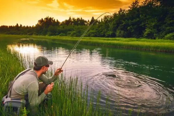 三月河里钓鱼技巧，钓鱼黄金时节的技巧分析插图1