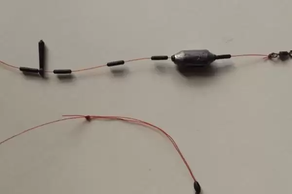 秋季钓鲫鱼用什么饵料，初、中、深秋不同饵料选择要点插图2