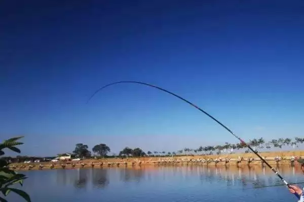 三月河里钓鱼技巧，钓鱼黄金时节的技巧分析插图2