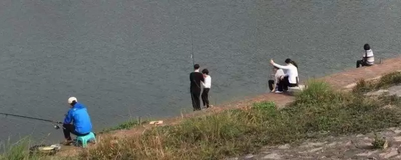 五六月份钓鱼技巧及光线选择要点?-会东网