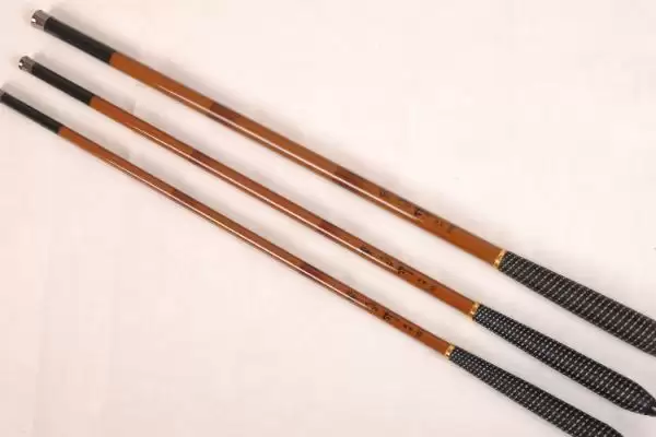 新手钓鱼要点及晴朗天气作钓要点?插图4 新手钓鱼要点及晴朗天气作钓要点?插图4