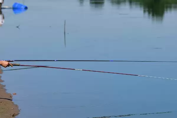 新手钓鱼要点及晴朗天气作钓要点?插图2 新手钓鱼要点及晴朗天气作钓要点?插图2