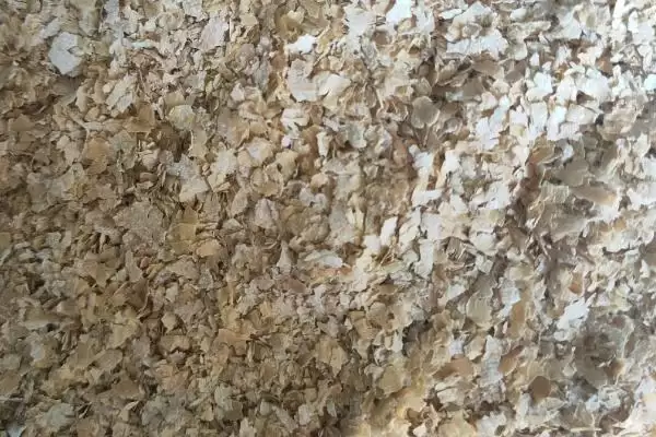 养猪没麸皮用什么代替(养猪没麸皮可用什么替代)?插图5 养猪没麸皮用什么代替(养猪没麸皮可用什么替代)?插图5