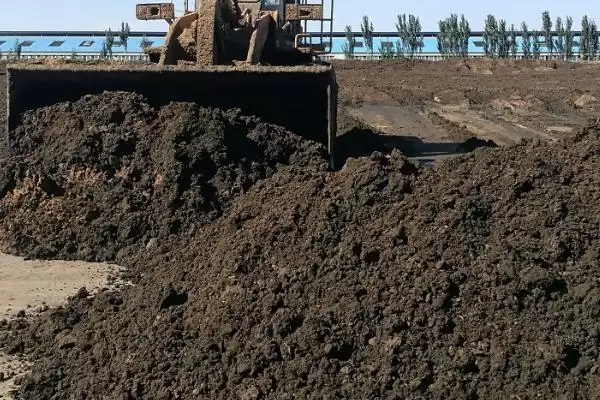 鸭粪能否直接做肥料及发酵腐熟要点?插图3 鸭粪能否直接做肥料及发酵腐熟要点?插图3