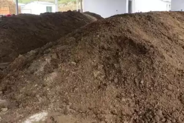 鸭粪能否直接做肥料及发酵腐熟要点?插图1 鸭粪能否直接做肥料及发酵腐熟要点?插图1