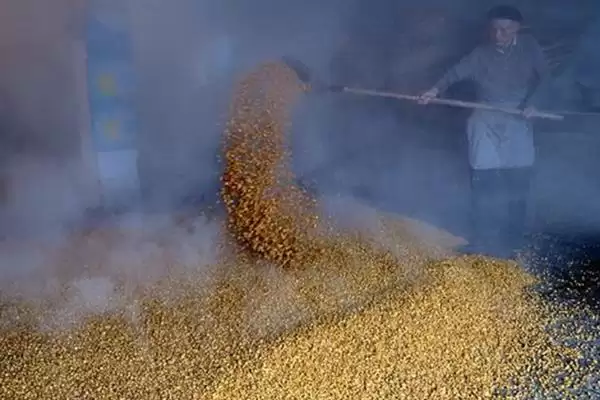 玉米怎么酿醋(玉米酿醋需去皮碾碎后装入缸内酿制)？插图5