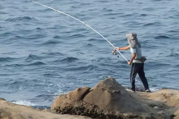 新手钓鱼要点及晴朗天气作钓要点?插图3 新手钓鱼要点及晴朗天气作钓要点?插图3