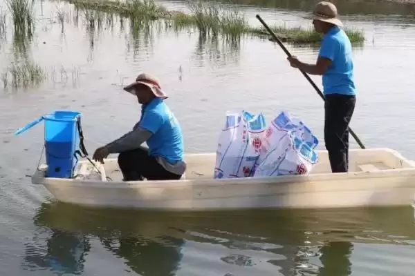 小龙虾怎么养殖(小龙虾养殖需清塘消毒、培育浮游生物后放虾苗)？插图2