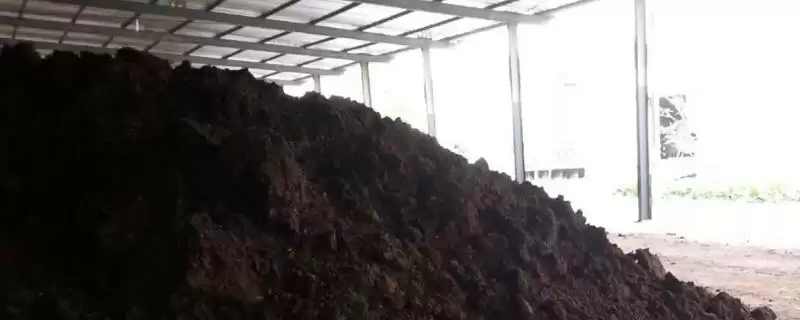 鸭粪能否直接做肥料及发酵腐熟要点?插图 鸭粪能否直接做肥料及发酵腐熟要点?插图