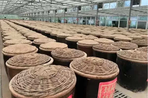 玉米怎么酿醋(玉米酿醋需去皮碾碎后装入缸内酿制)？插图3