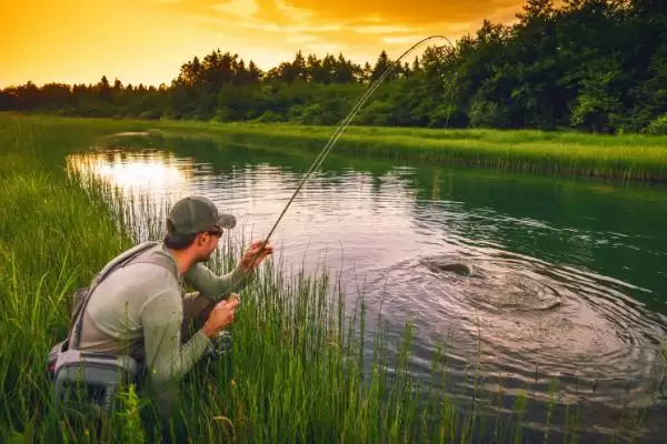 新手钓鱼要点及晴朗天气作钓要点?插图1 新手钓鱼要点及晴朗天气作钓要点?插图1